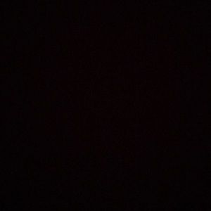 Meet your Posher, Rory